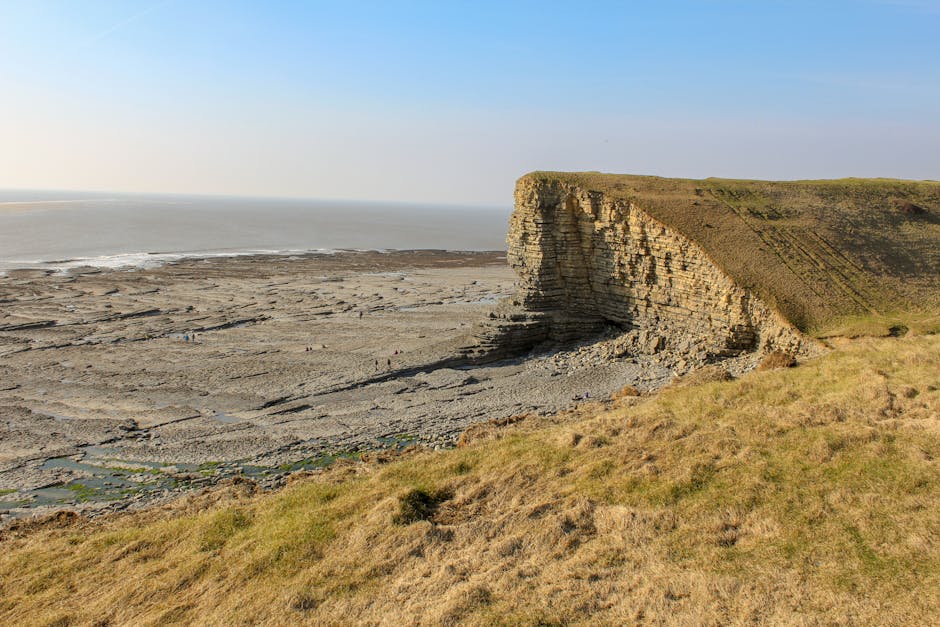 The image shows a coastal scene with a prominent chalk cliff on the right side, displaying visible strata layers and a grassy top. The cliff overhangs a flat, expansive rock and pebble beach below, where small groups of people are walking or standing on the uneven surface. The beach consists of stone slabs and debris, leading towards the calm, open sea in the background, with a horizon line under a clear, pale blue sky. The foreground features a sloping grassy area with patches of green and brown, typical of coastal vegetation. This natural landscape suggests a scenic vantage point, possibly viewed from a higher elevation, suitable for outdoor activities such as walking or sightseeing, and highlights the rugged beauty of the coastline, which could be relevant for house removals or relocation projects involving scenic properties near the coast, as managed by companies like Movers Maida Vale.