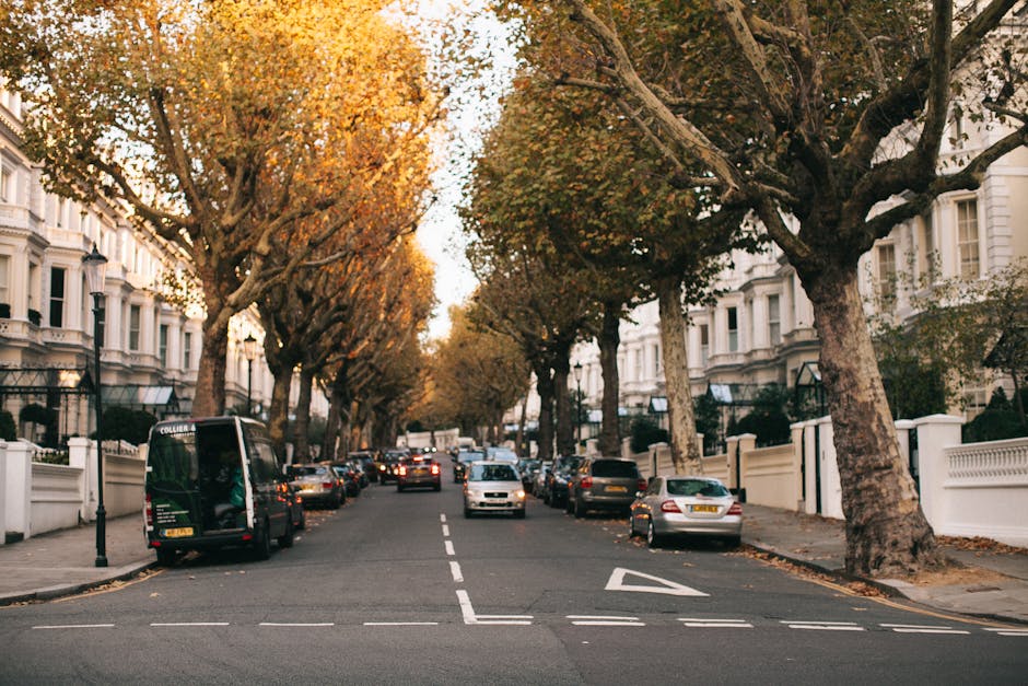 A residential street in Maida Vale featuring large, mature trees with broad trunks and leafy canopies lining both sides of the road. The street is narrow, with white Victorian-style terraced houses visible behind black wrought iron fences and gates. Several parked cars, including compact models and larger vehicles, are aligned along the pavement. The pavement is clean and well-kept, with some fallen leaves scattered across it. The scene is illuminated by soft, natural daylight, suggesting late afternoon or early evening. This setting illustrates typical urban surroundings where Movers Maida Vale may conduct house removals, especially involving tight street access and significant home furniture transport logistics, with a focus on loading or unloading inside the property or onto the street.